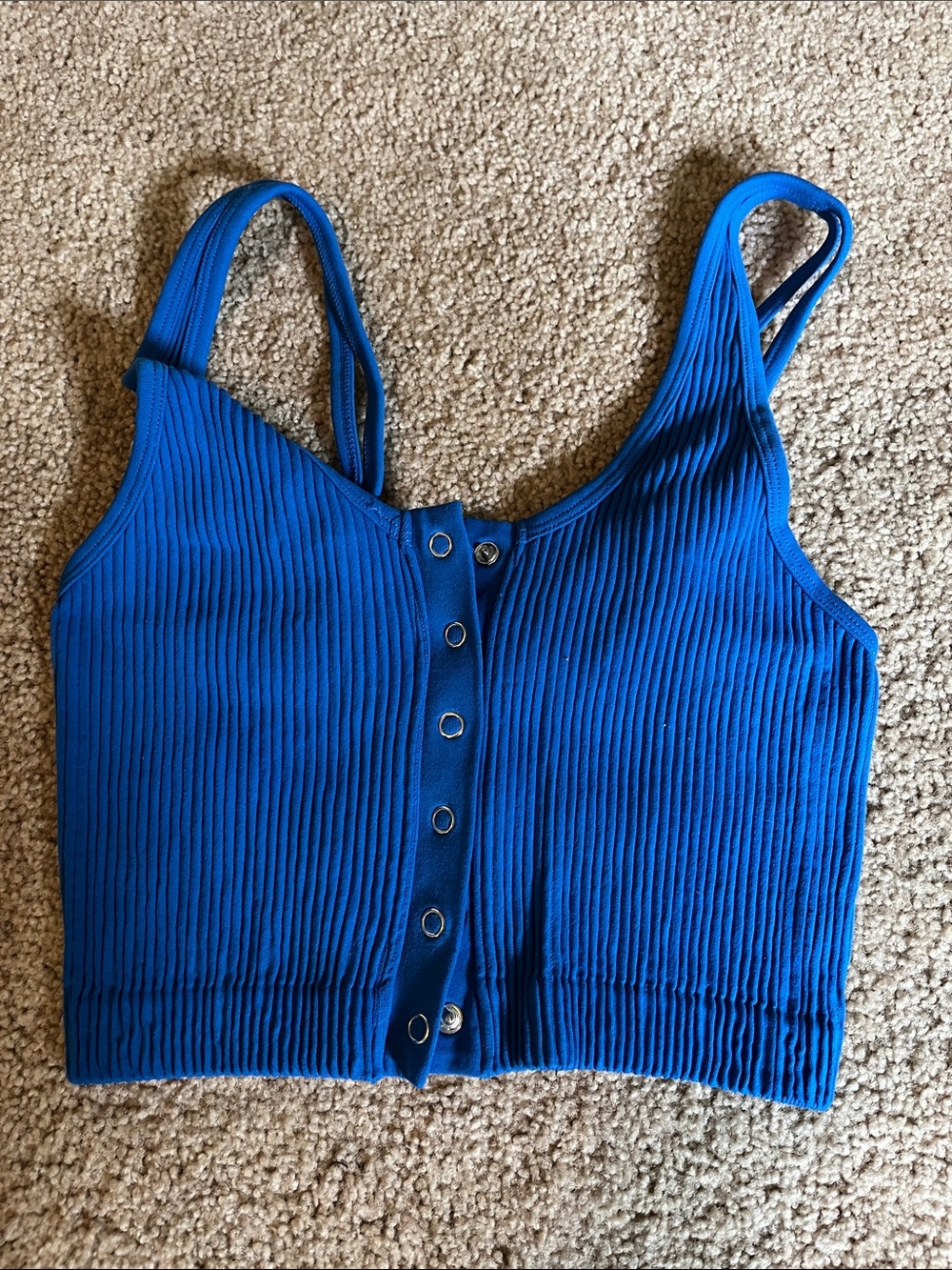 aerie Royal Blue Ribbed Button-Front Crop Tank